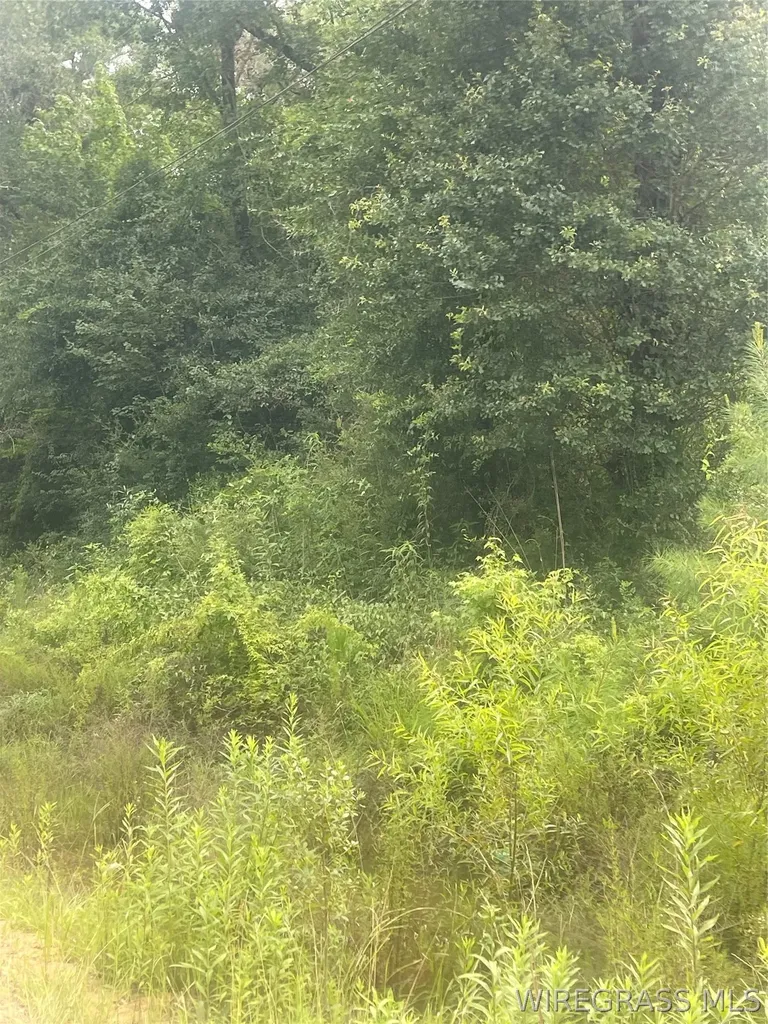 0 W Forest Road W Daleville AL 36330