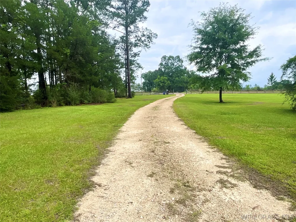 29050 Smyrna Road Florala AL 36442