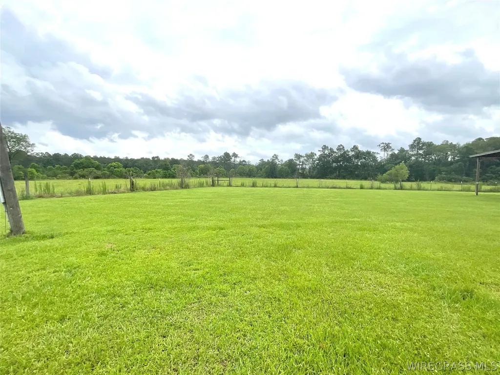 29050 Smyrna Road Florala AL 36442
