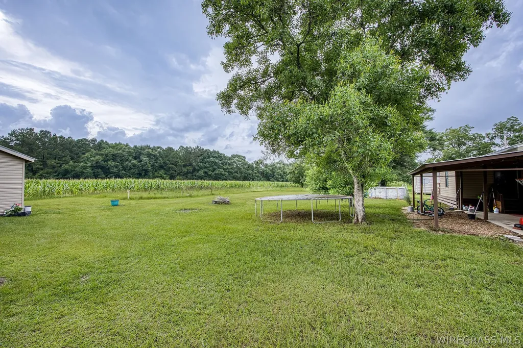 1531 Smith Avenue Elba AL 36323
