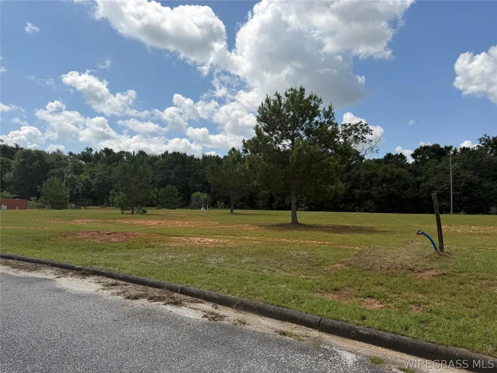 8 Maverick Way Enterprise AL 36330