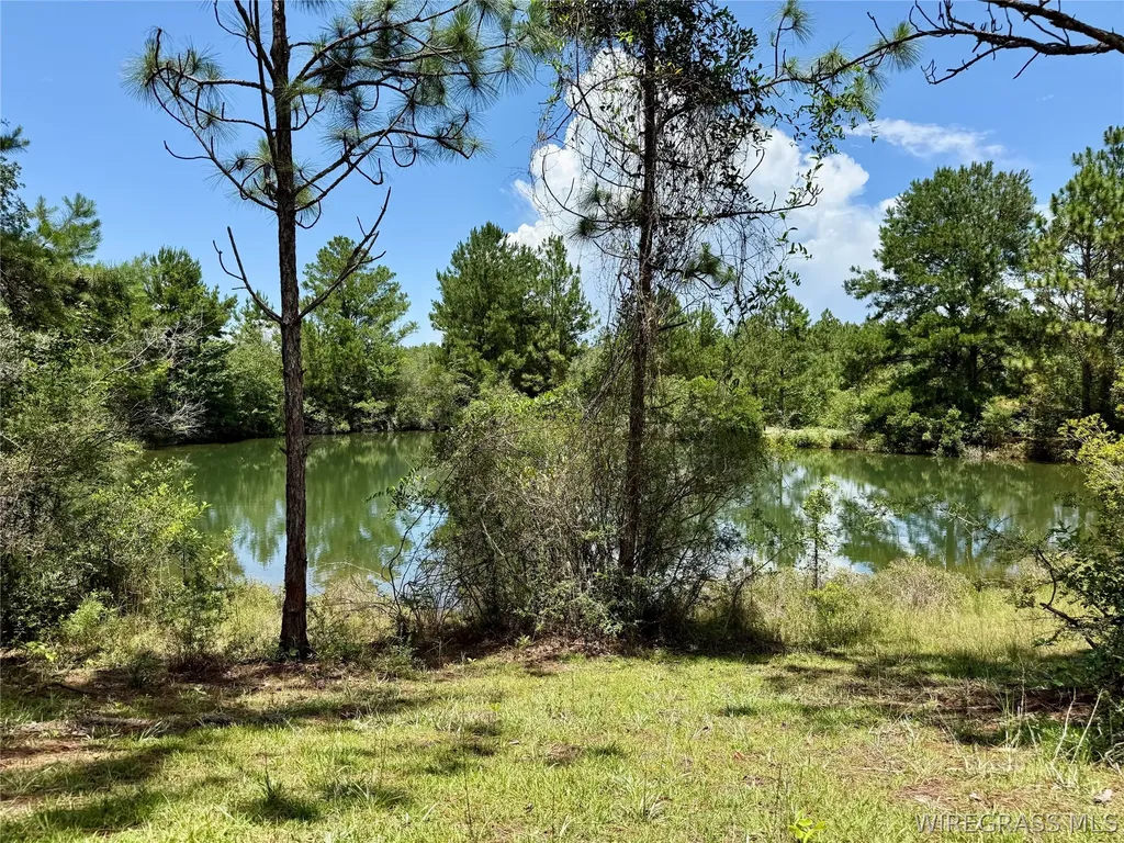 274 Twin Lakes Road Kinston AL 36453