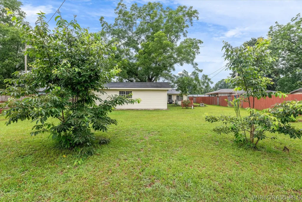 1050 Morrow Street Elba AL 36323