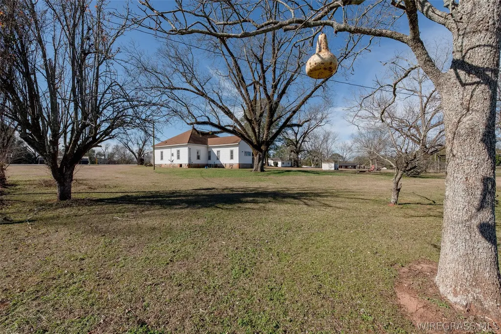 2417 Highway 51 Ariton AL 36311