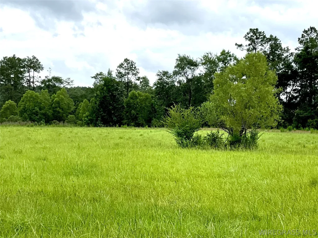 0 Smyrna Road Florala AL 36442