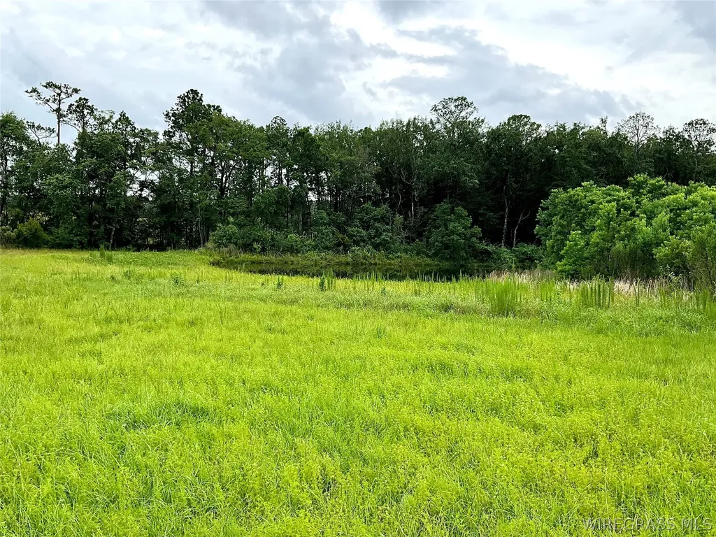 0 Smyrna Road Florala AL 36442