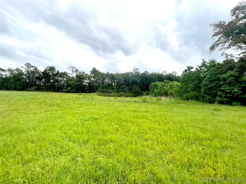 0 Smyrna Road Florala AL 36442