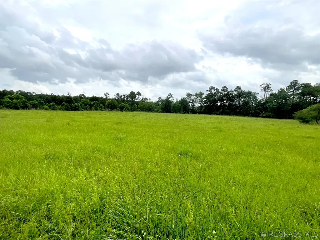 0 Smyrna Road Florala AL 36442