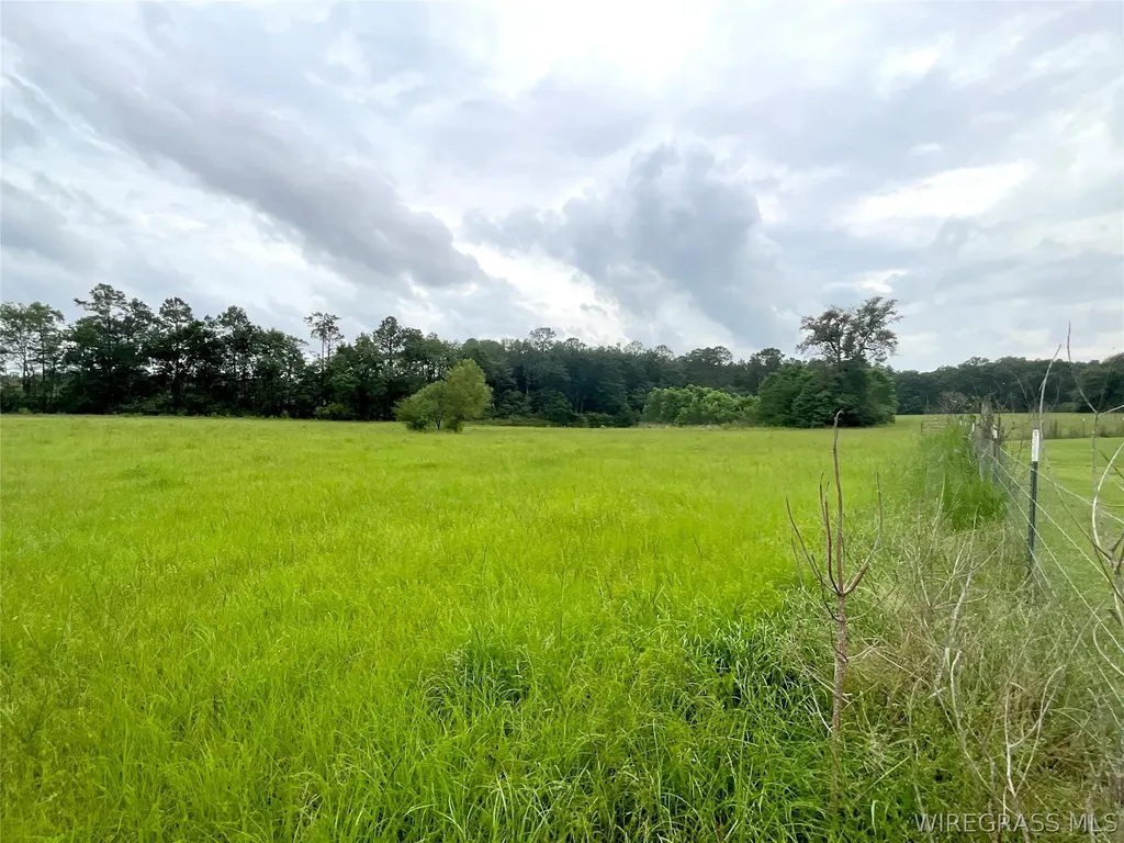 0 Smyrna Road Florala AL 36442
