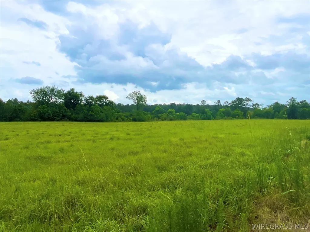 0 Smyrna Road Florala AL 36442