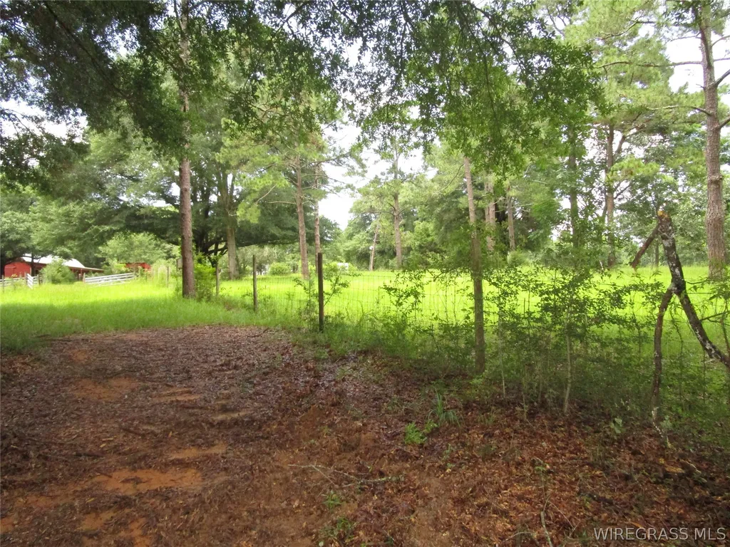 3180 Will Logan Road Ozark AL 36360