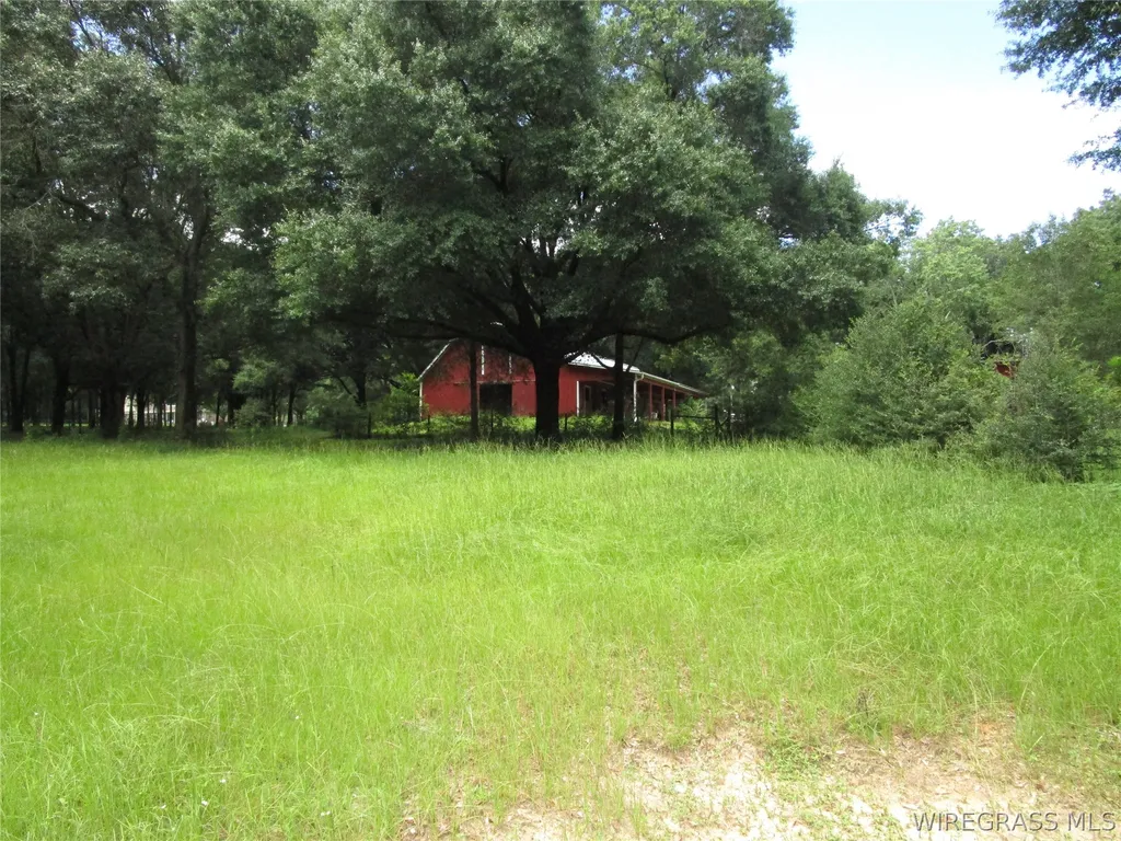 3180 Will Logan Road Ozark AL 36360