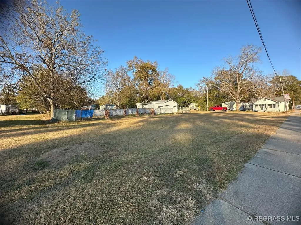 0 Middle Street Slocomb AL 36375