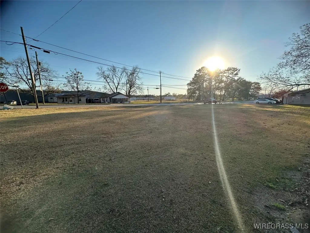 0 Middle Street Slocomb AL 36375