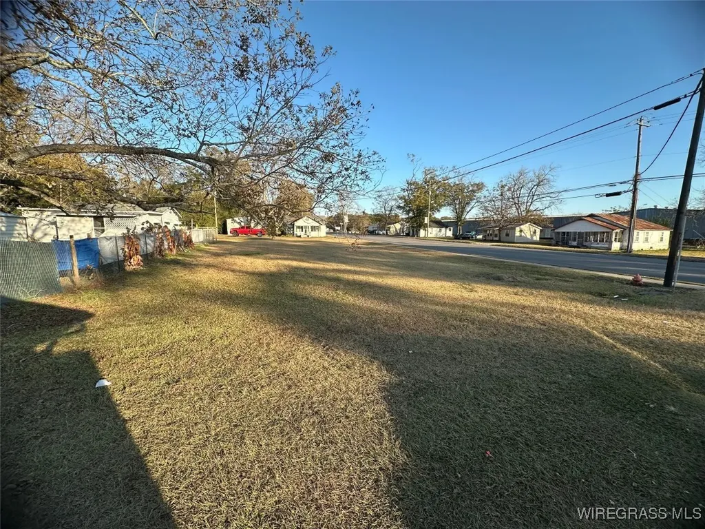 0 Middle Street Slocomb AL 36375