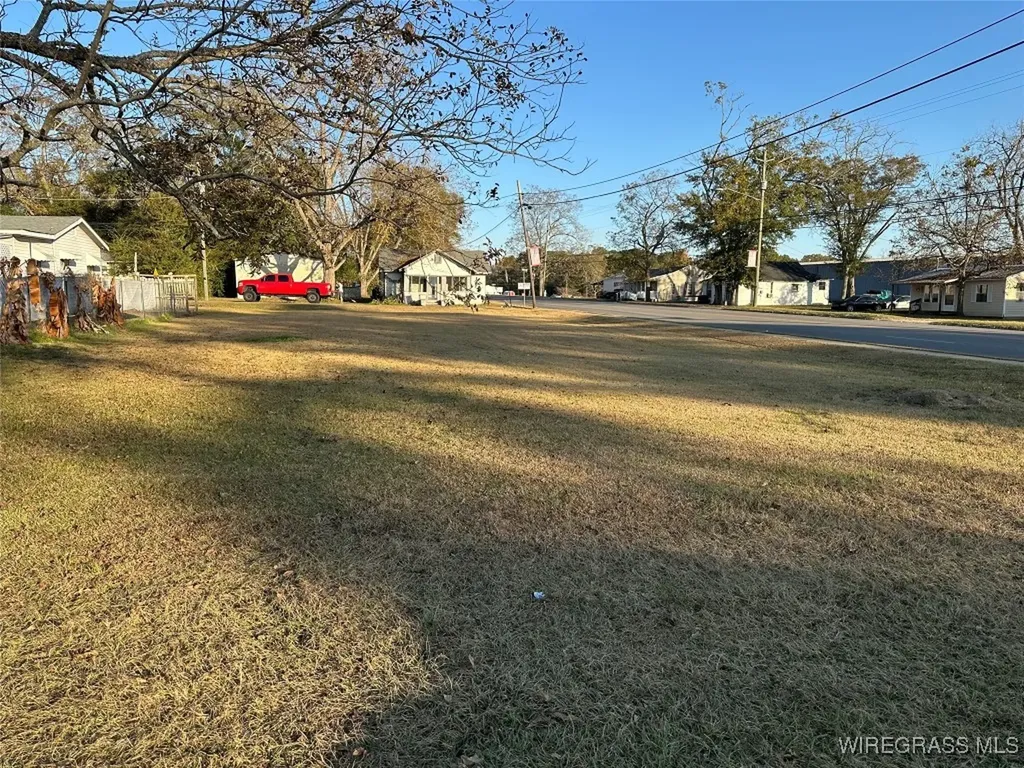 0 Middle Street Slocomb AL 36375