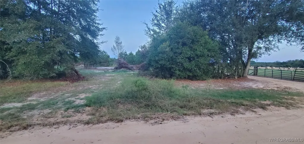 725 Dock Wilson Road Samson AL 36477