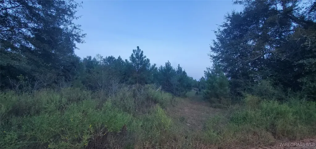 725 Dock Wilson Road Samson AL 36477