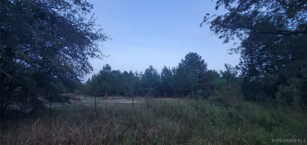 725 Dock Wilson Road Samson AL 36477