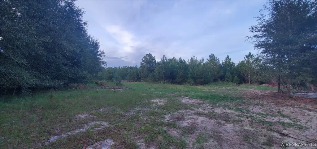 725 Dock Wilson Road Samson AL 36477