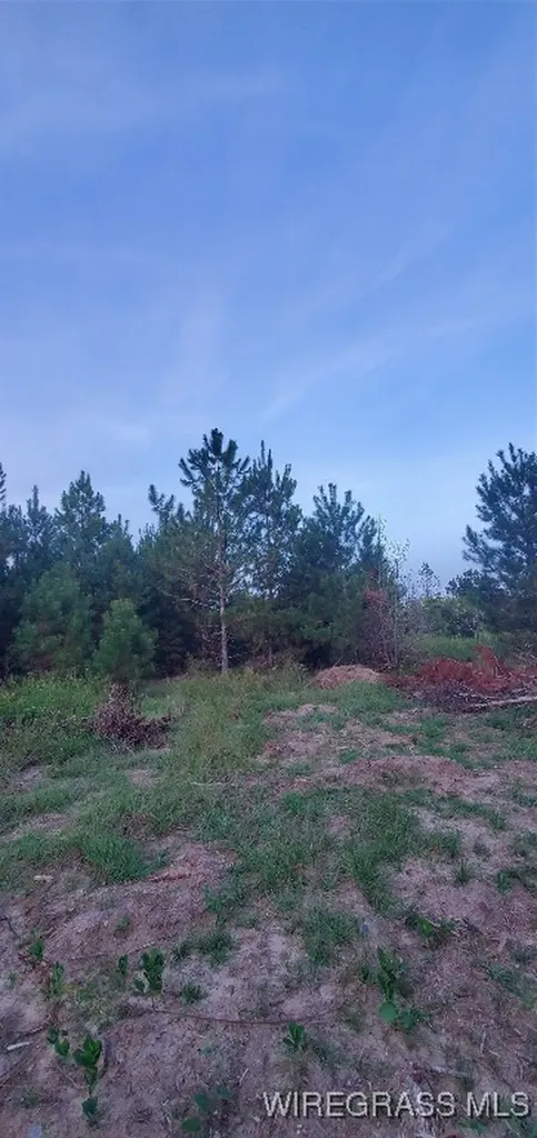 725 Dock Wilson Road Samson AL 36477