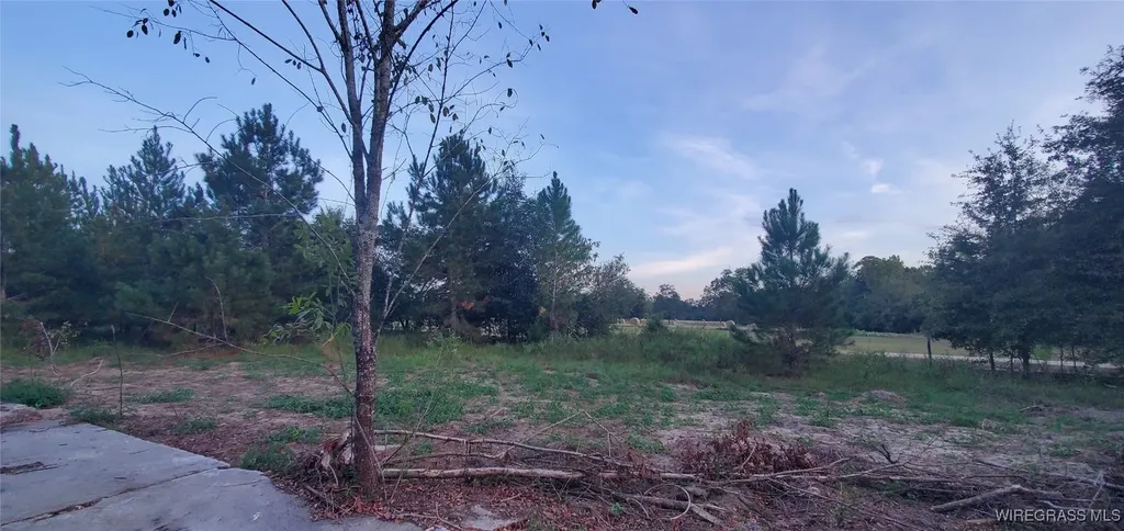 725 Dock Wilson Road Samson AL 36477