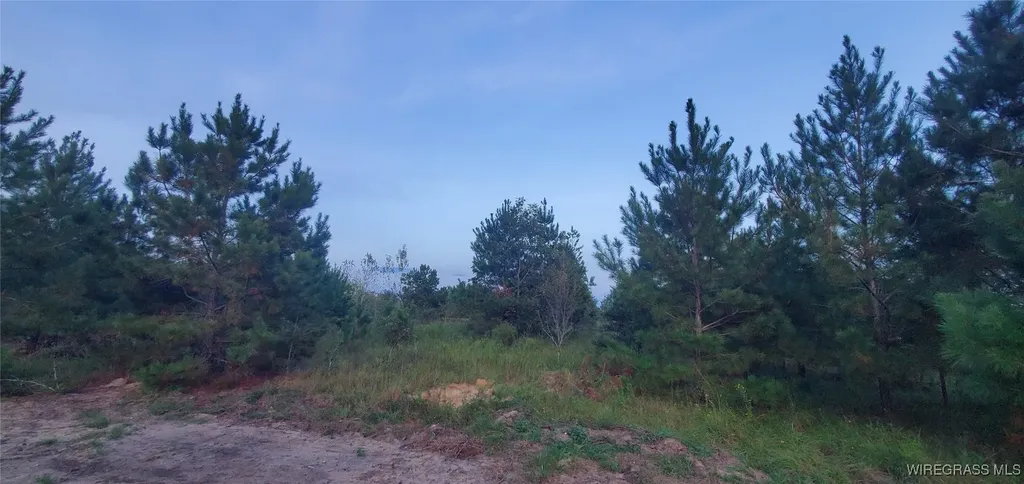 725 Dock Wilson Road Samson AL 36477