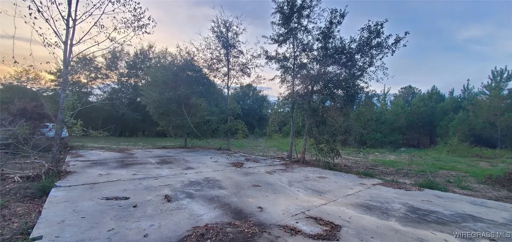 725 Dock Wilson Road Samson AL 36477