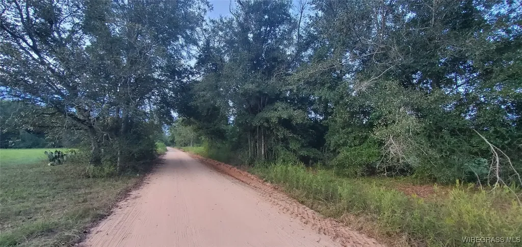 725 Dock Wilson Road Samson AL 36477