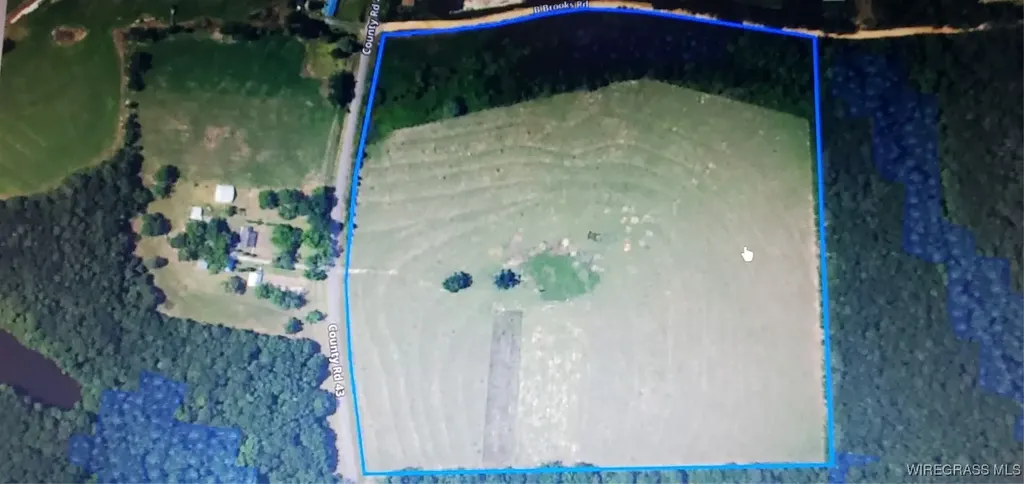 0 County Road 43 Coffee Springs AL 36318