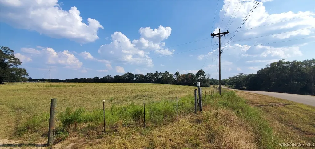 0 County Road 43 Coffee Springs AL 36318