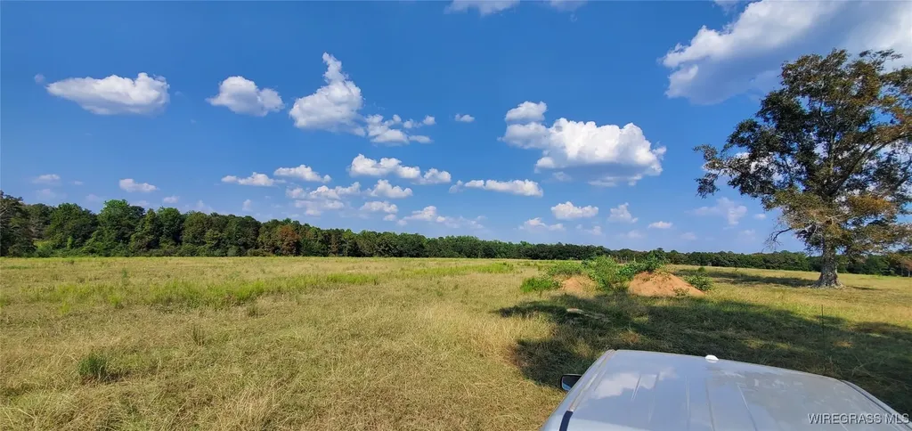 0 County Road 43 Coffee Springs AL 36318