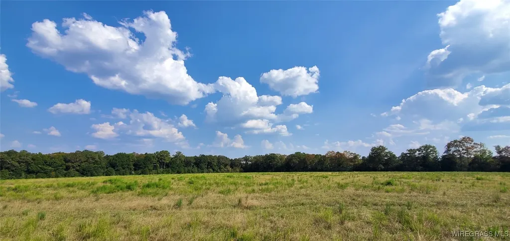 0 County Road 43 Coffee Springs AL 36318