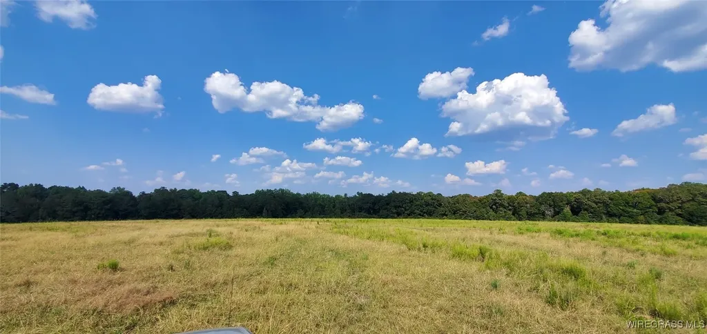 0 County Road 43 Coffee Springs AL 36318