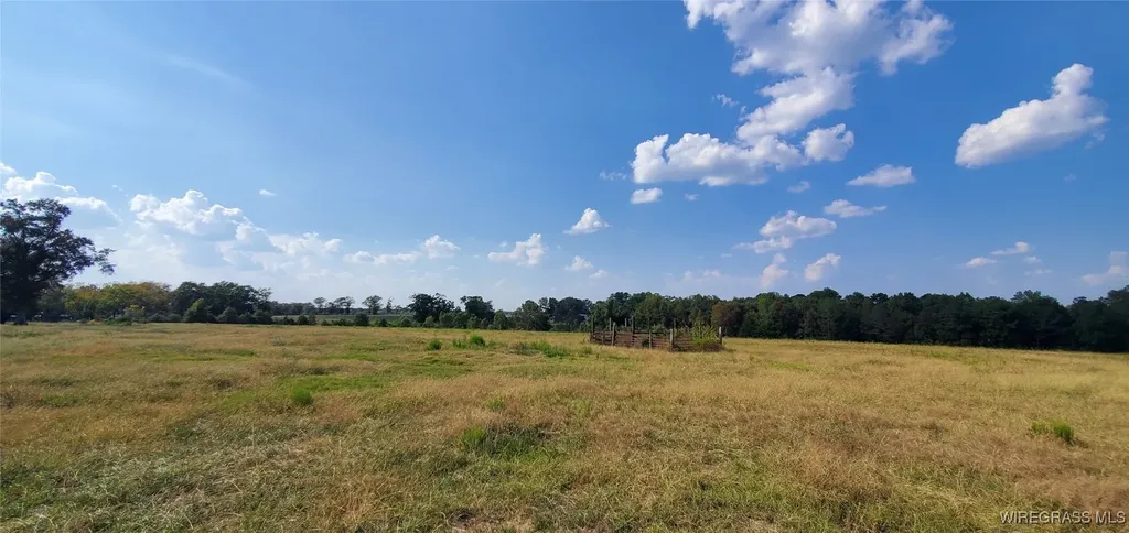 0 County Road 43 Coffee Springs AL 36318