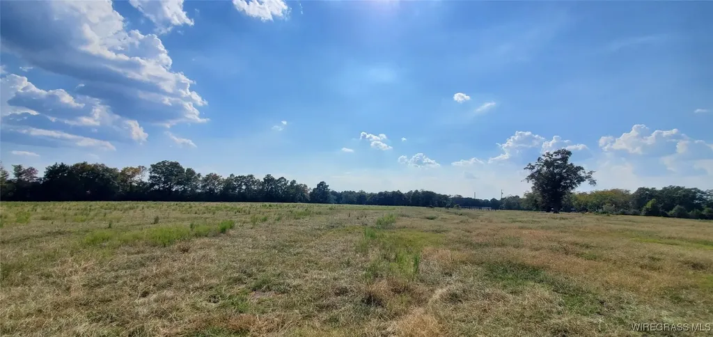 0 County Road 43 Coffee Springs AL 36318