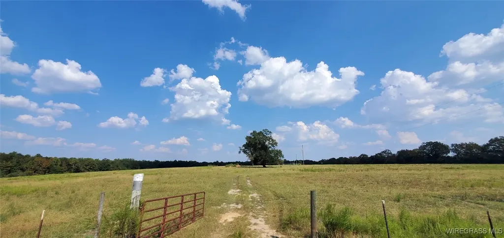 0 County Road 43 Coffee Springs AL 36318