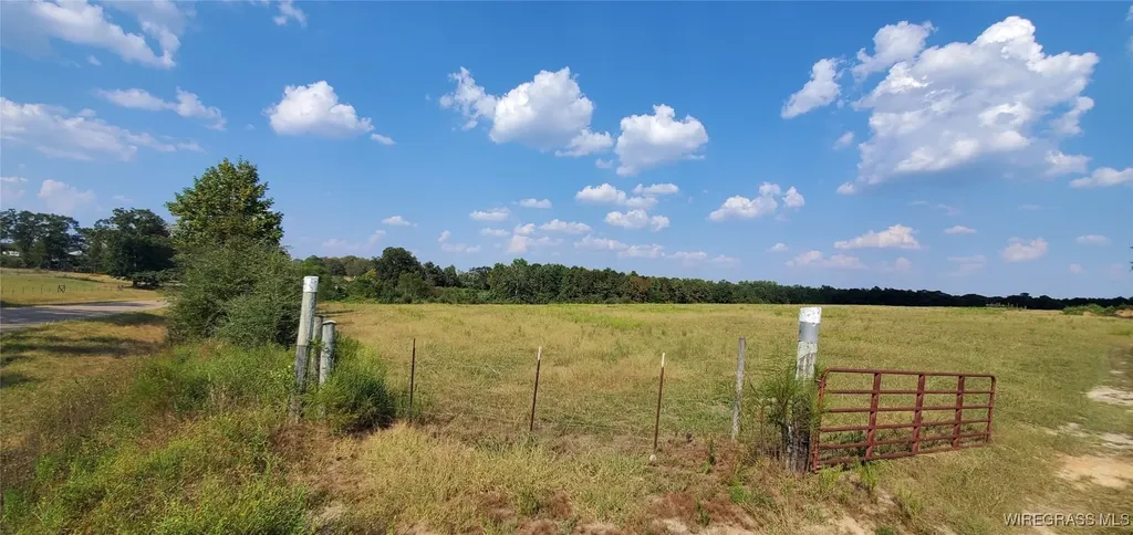 0 County Road 43 Coffee Springs AL 36318