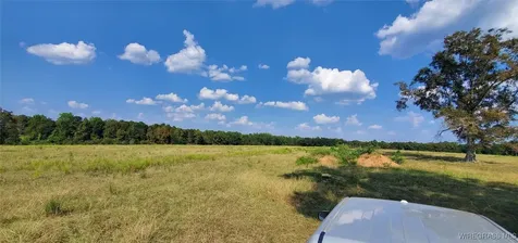 0 County Road 43 Coffee Springs AL 36318