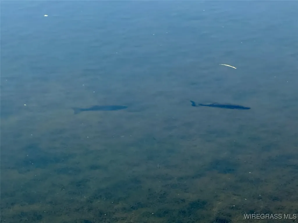 200 Jessica Lane Geneva AL 36340