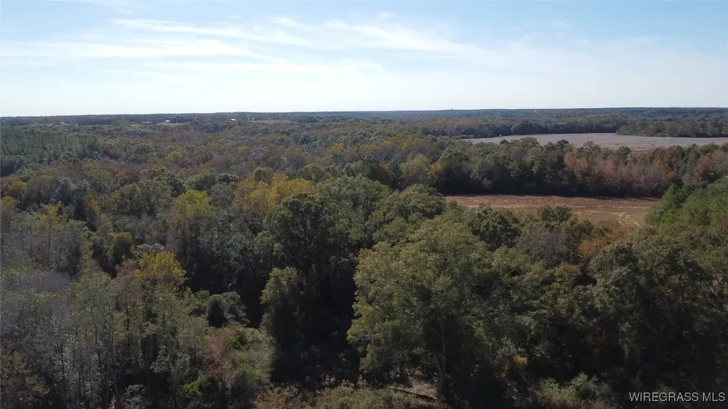 2318 County Road 622 Enterprise AL 36330