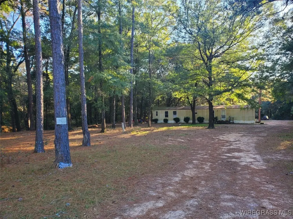 0 County Road 36 Hartford AL 36344