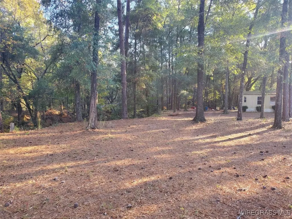 0 County Road 36 Hartford AL 36344