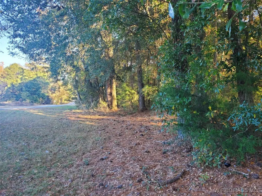 0 County Road 36 Hartford AL 36344