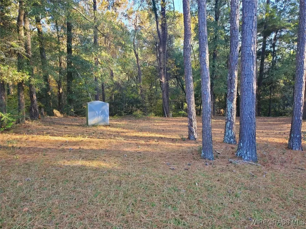 0 County Road 36 Hartford AL 36344