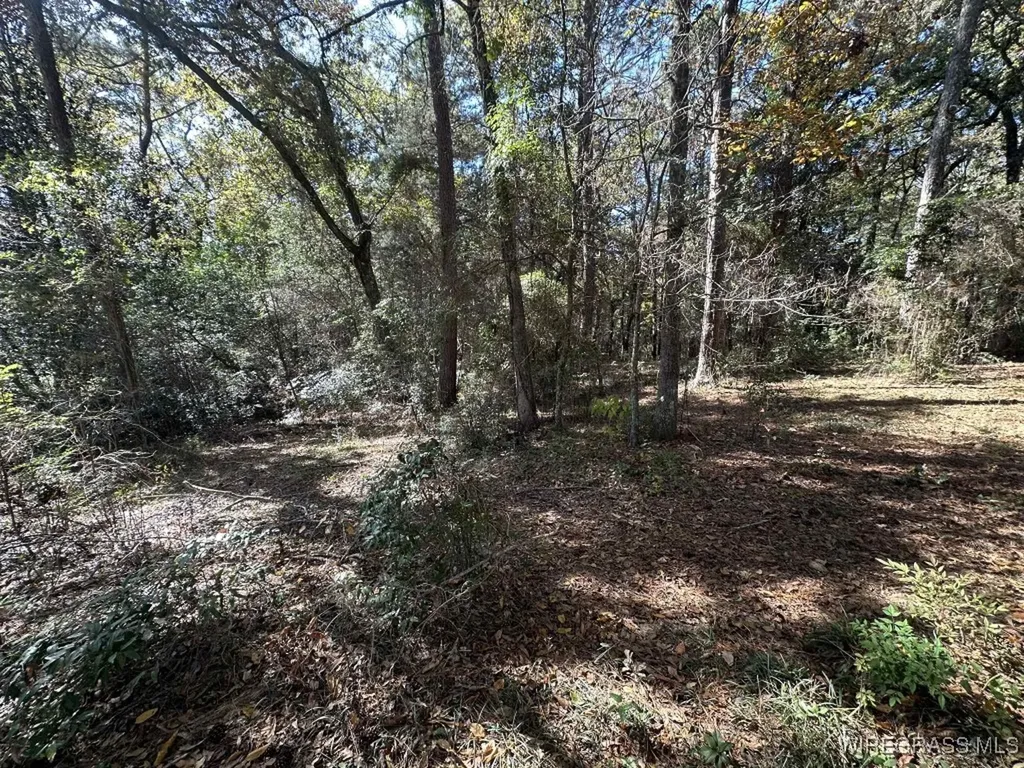 110 Willow Drive Enterprise AL 36330