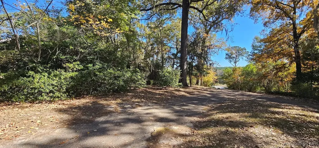 202 Squirrel Drive Ozark AL 36360