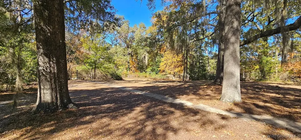 202 Squirrel Drive Ozark AL 36360