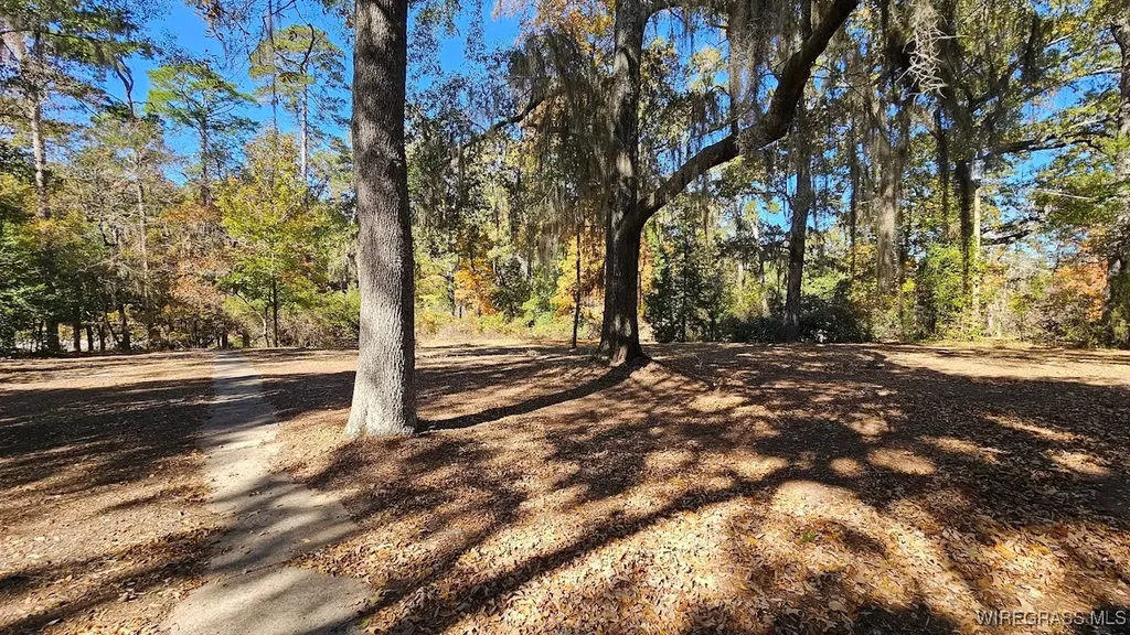 202 Squirrel Drive Ozark AL 36360