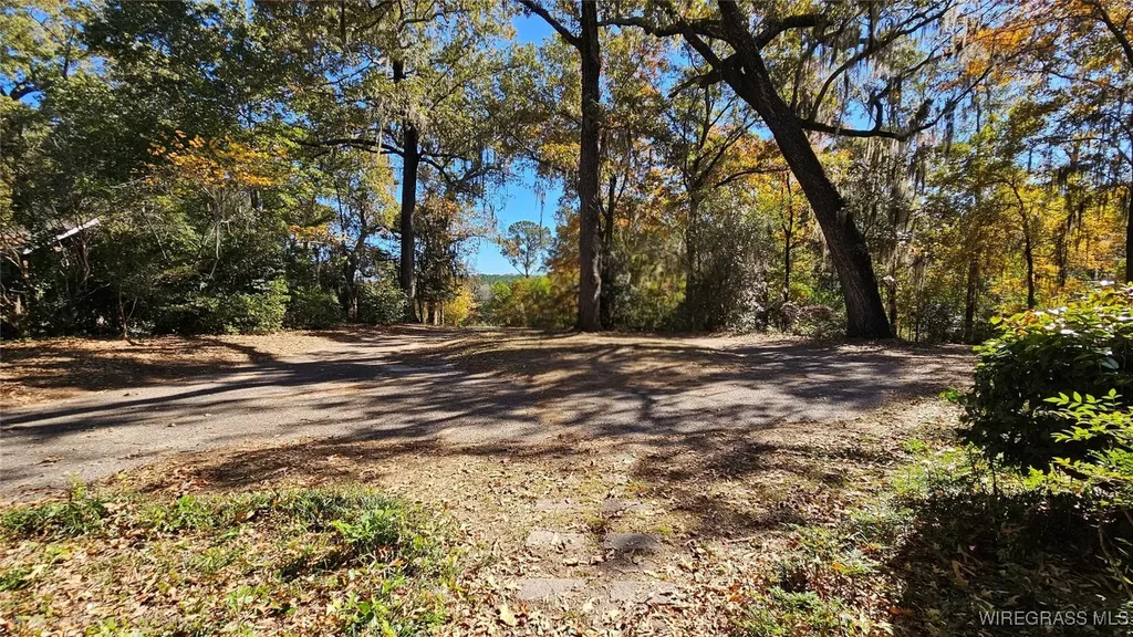 202 Squirrel Drive Ozark AL 36360